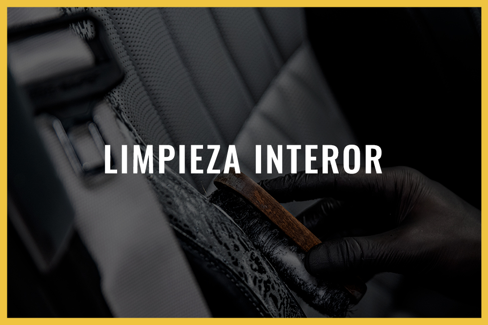 Limpieza interior